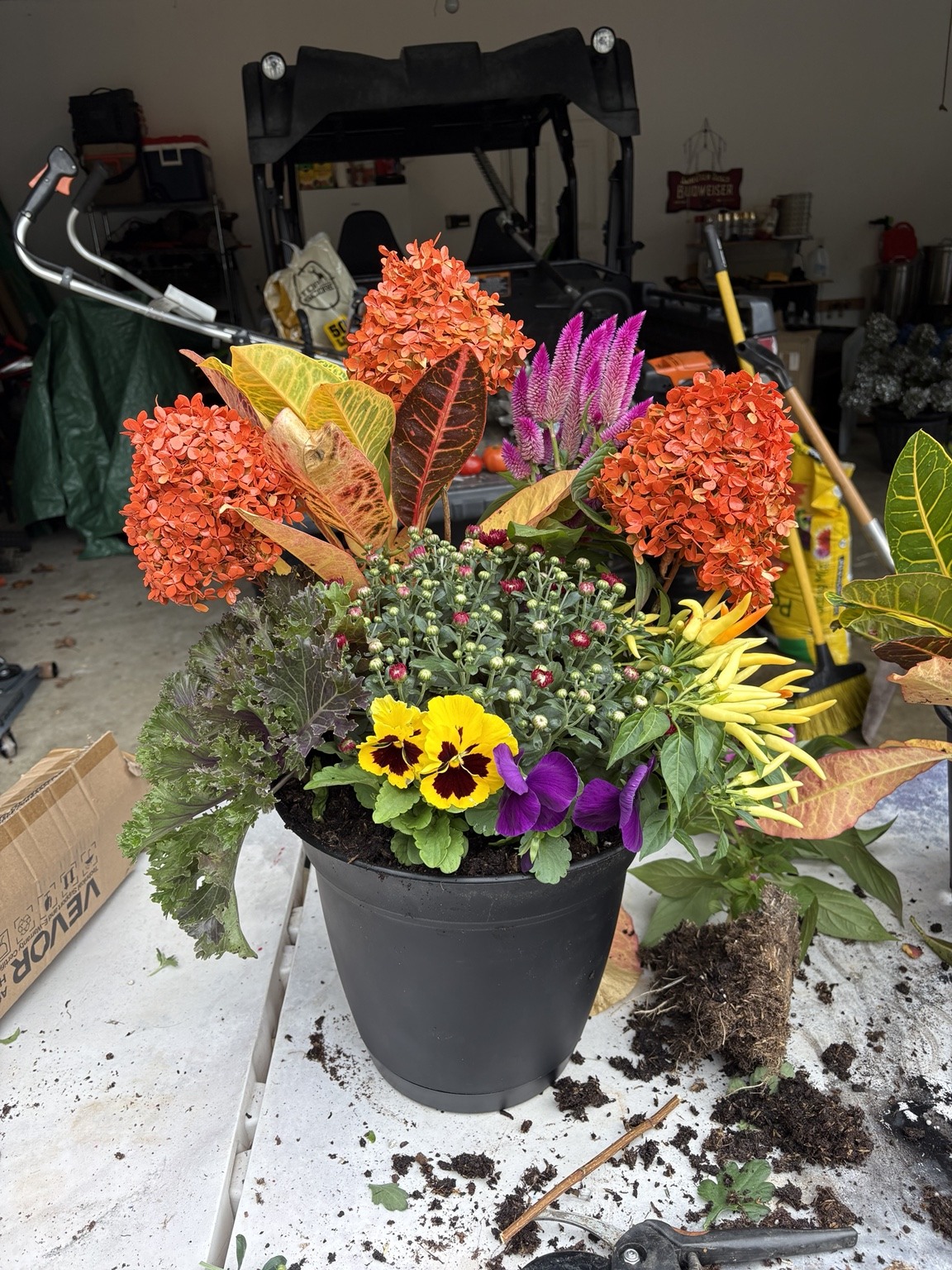 Colorful fall planter with orange and purple flowers