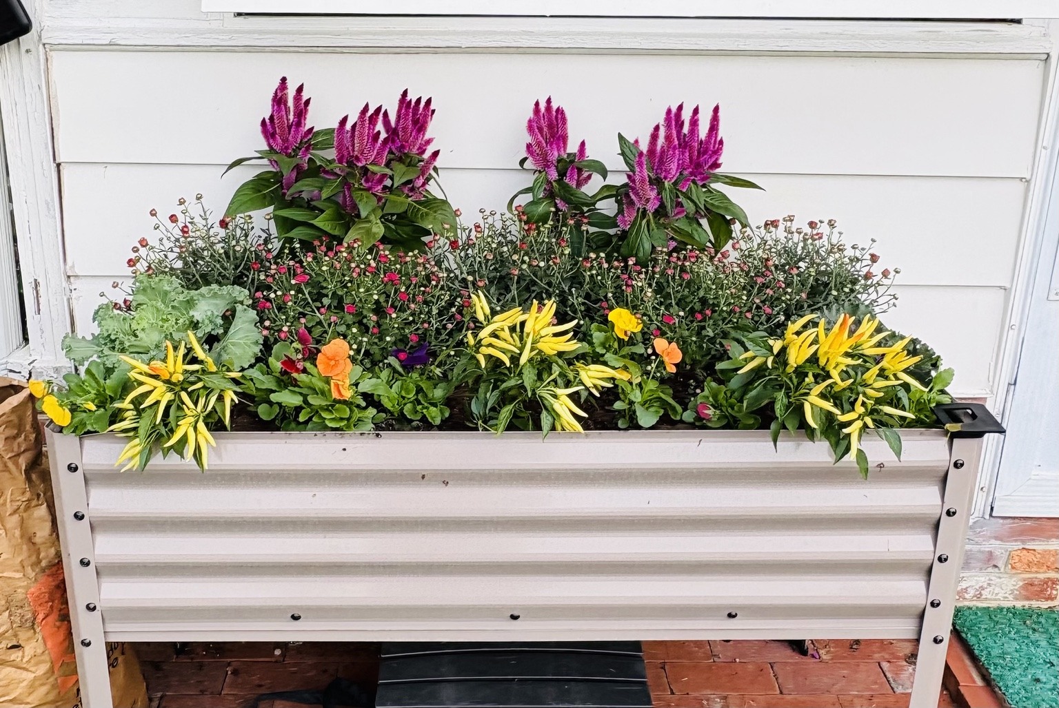 White window box filled with seasonal flowers