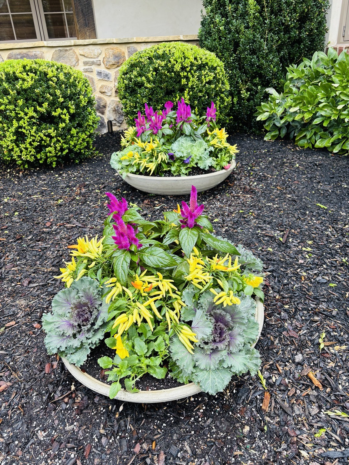 Low fall planter with flowers and ornamental foliage
