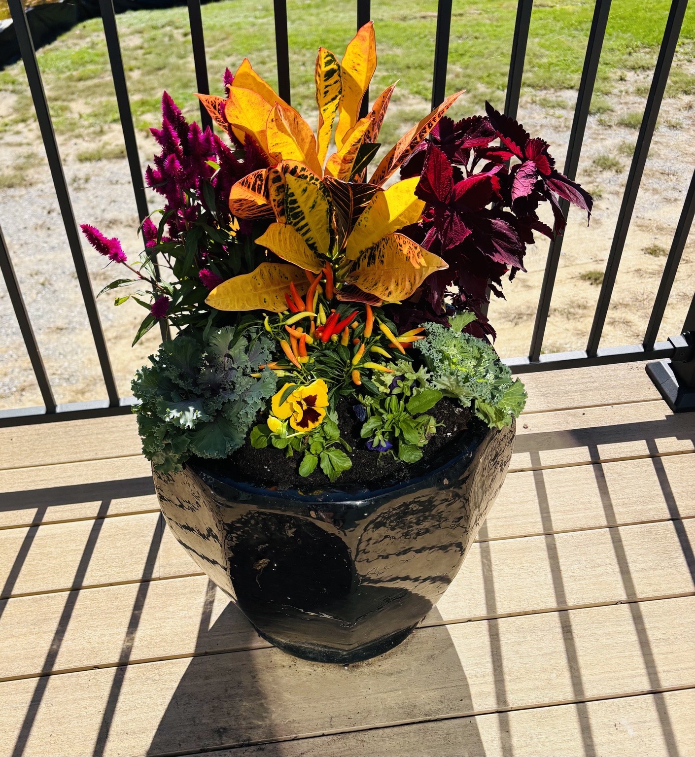 Autumn container with bright foliage on a balcony