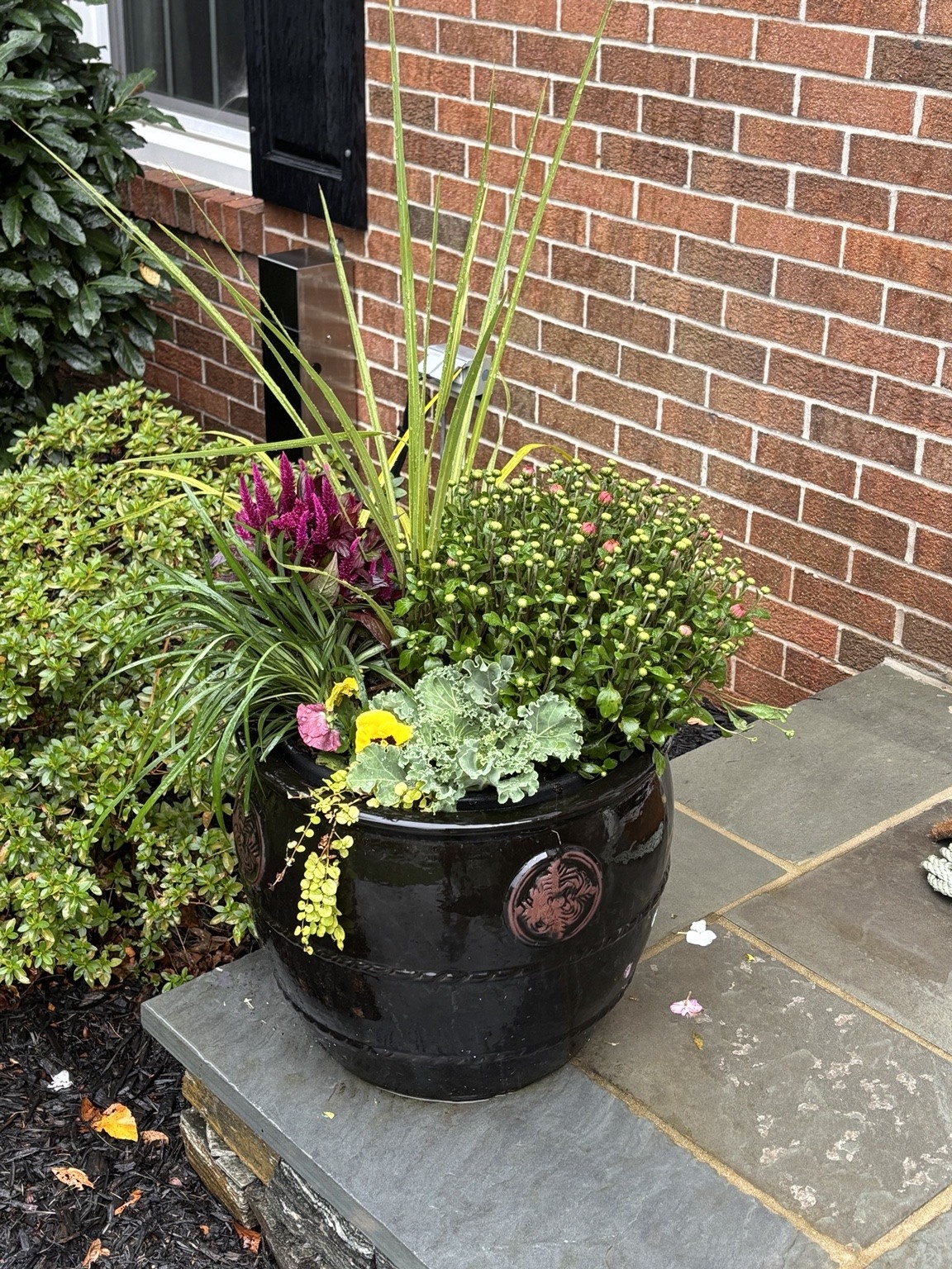 Dark fall planter with purple and chartreuse foliage beside a brick entry
