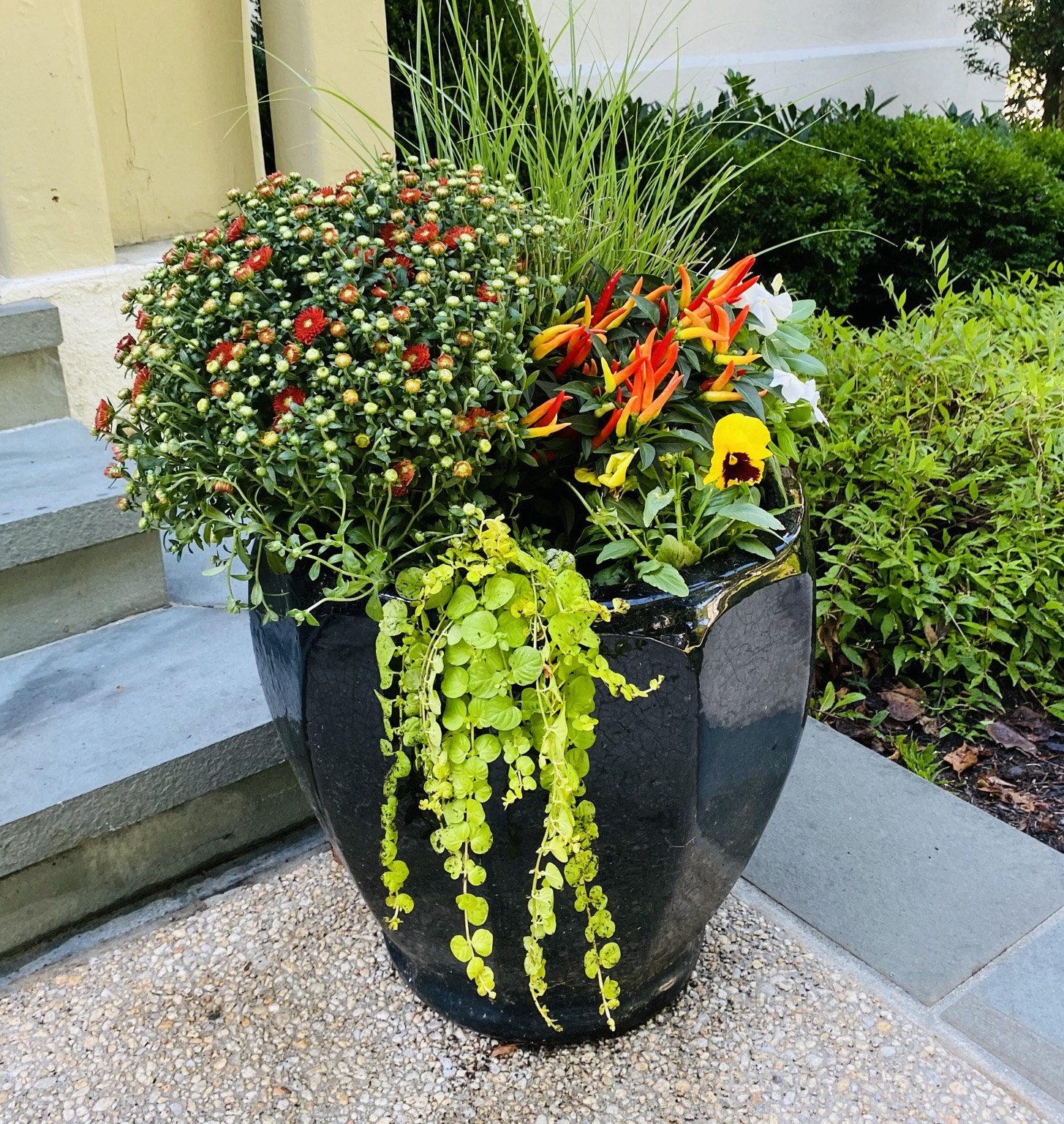 Tall dark urn filled with autumn berries, golden foliage, and bright flowers