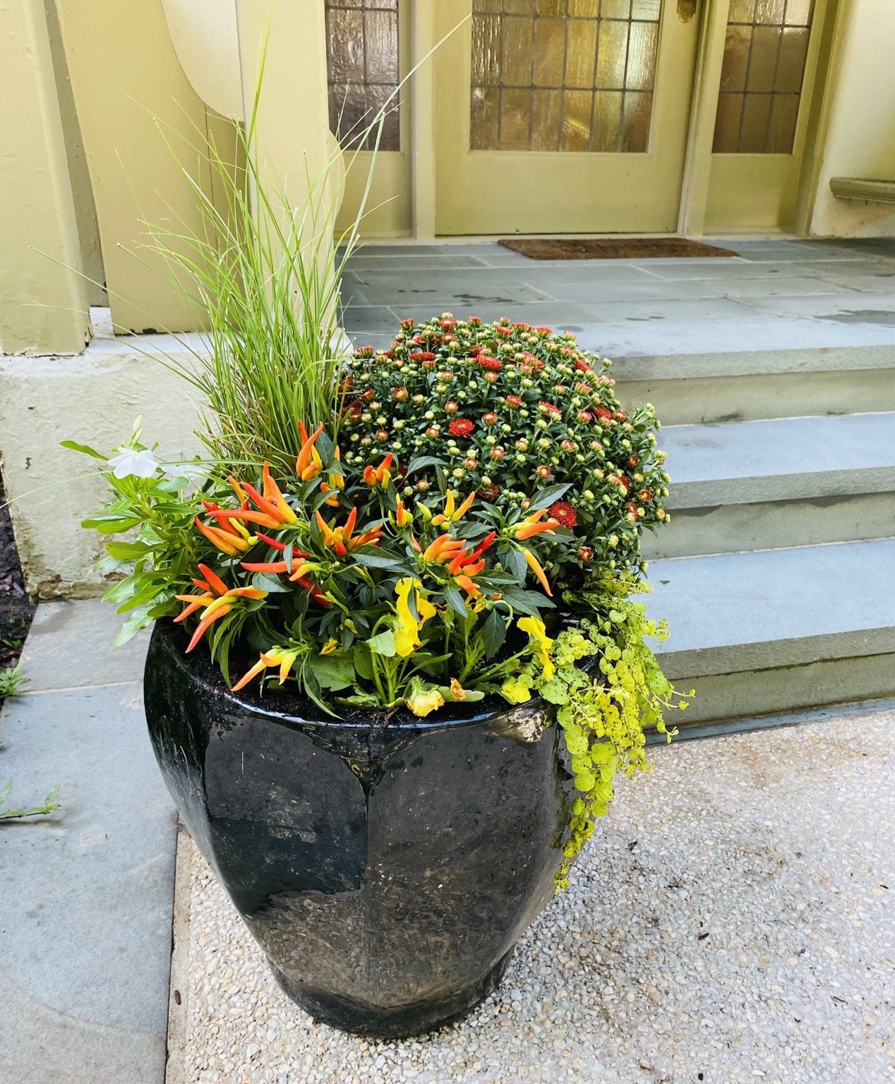 Front view of a black fall planter with mums, ornamental peppers, pansies, and trailing chartreuse foliage beside stone steps