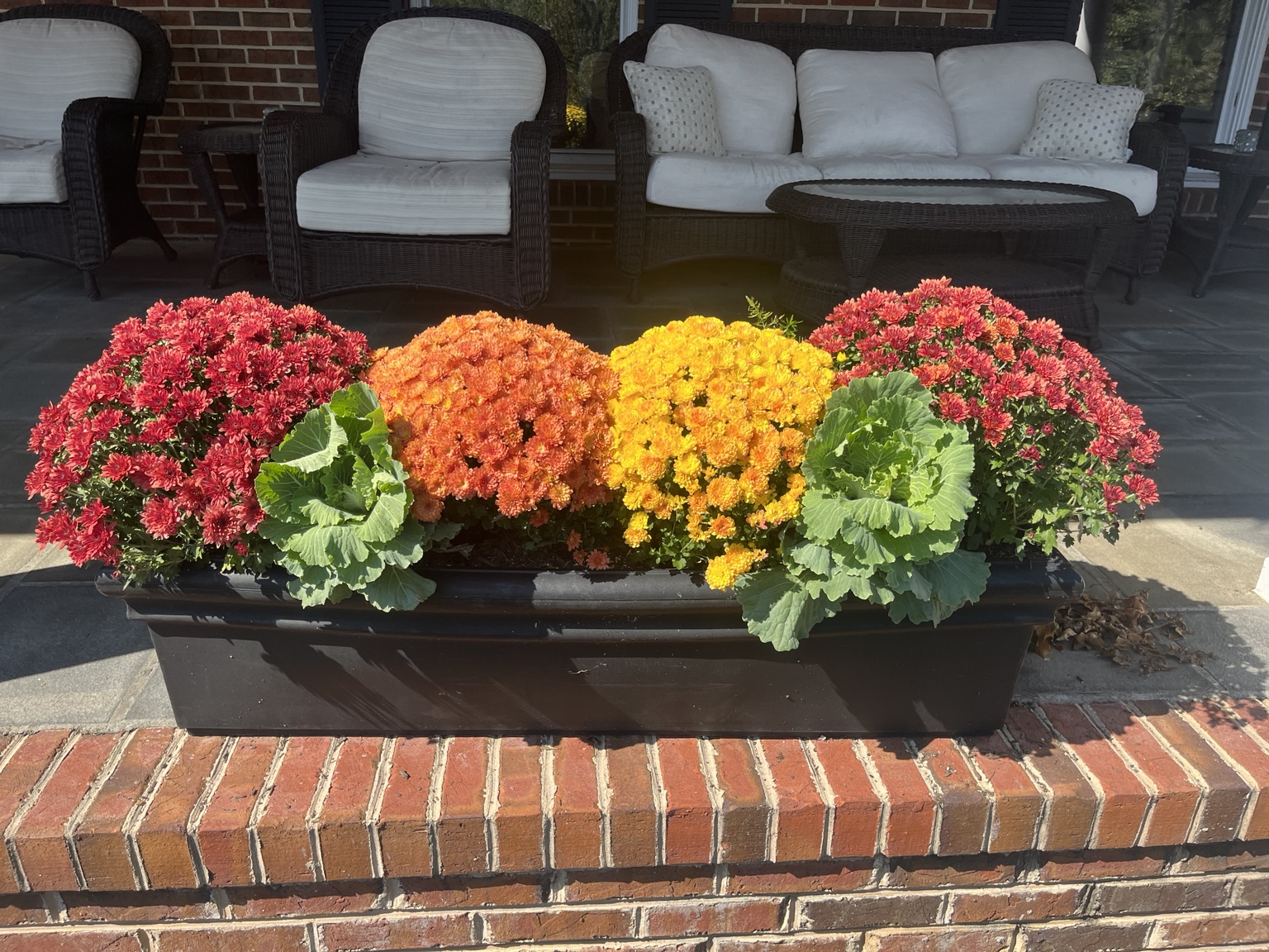 Long black porch planter filled with red, orange, and yellow mums and ornamental kale