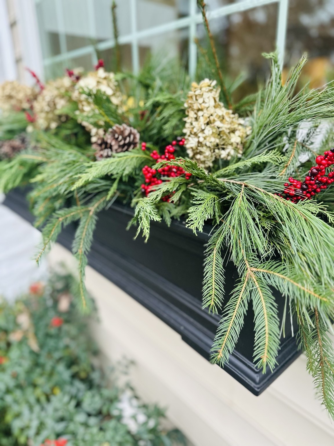 Close-up of a window box with pine, magnolia leaves, and red berries