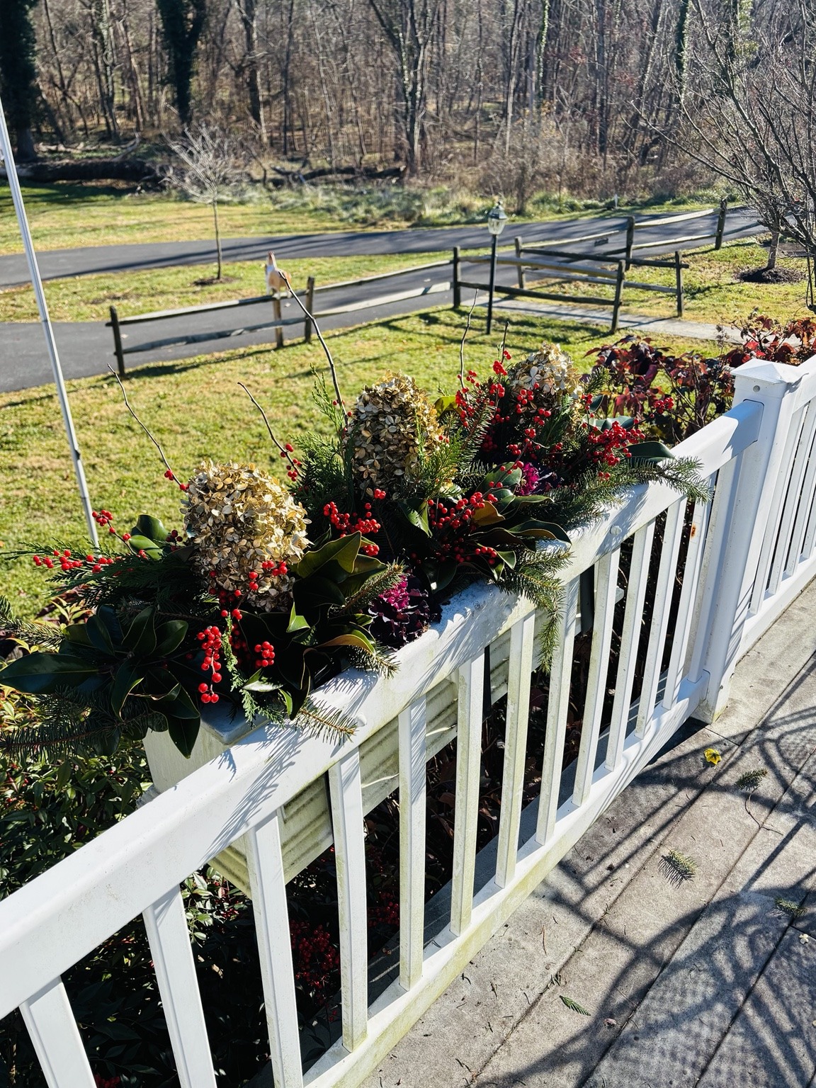 Holiday window box with evergreen branches and red accents along a porch railing