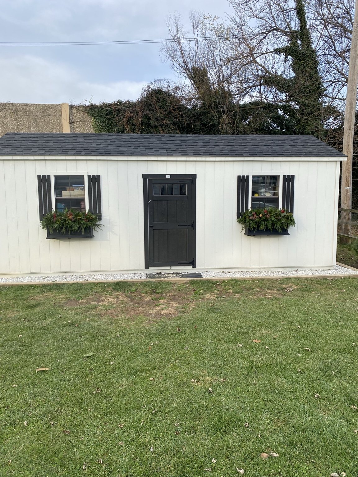 Cottage exterior with matching holiday window boxes