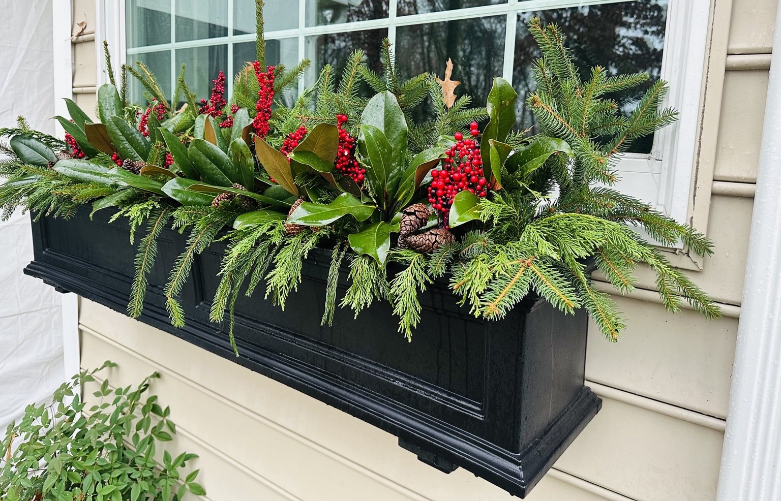 Another view of a holiday window box filled with evergreens and red accents