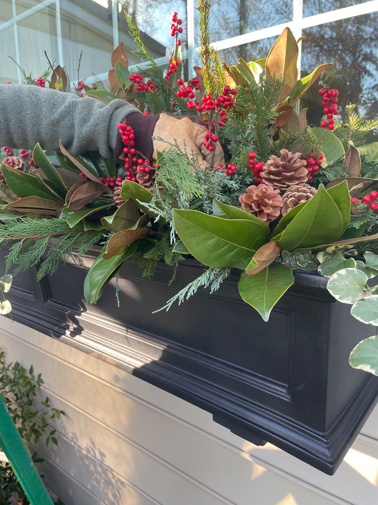 Hand adding evergreen branches, magnolia leaves, pine cones, and red berries to a black window box
