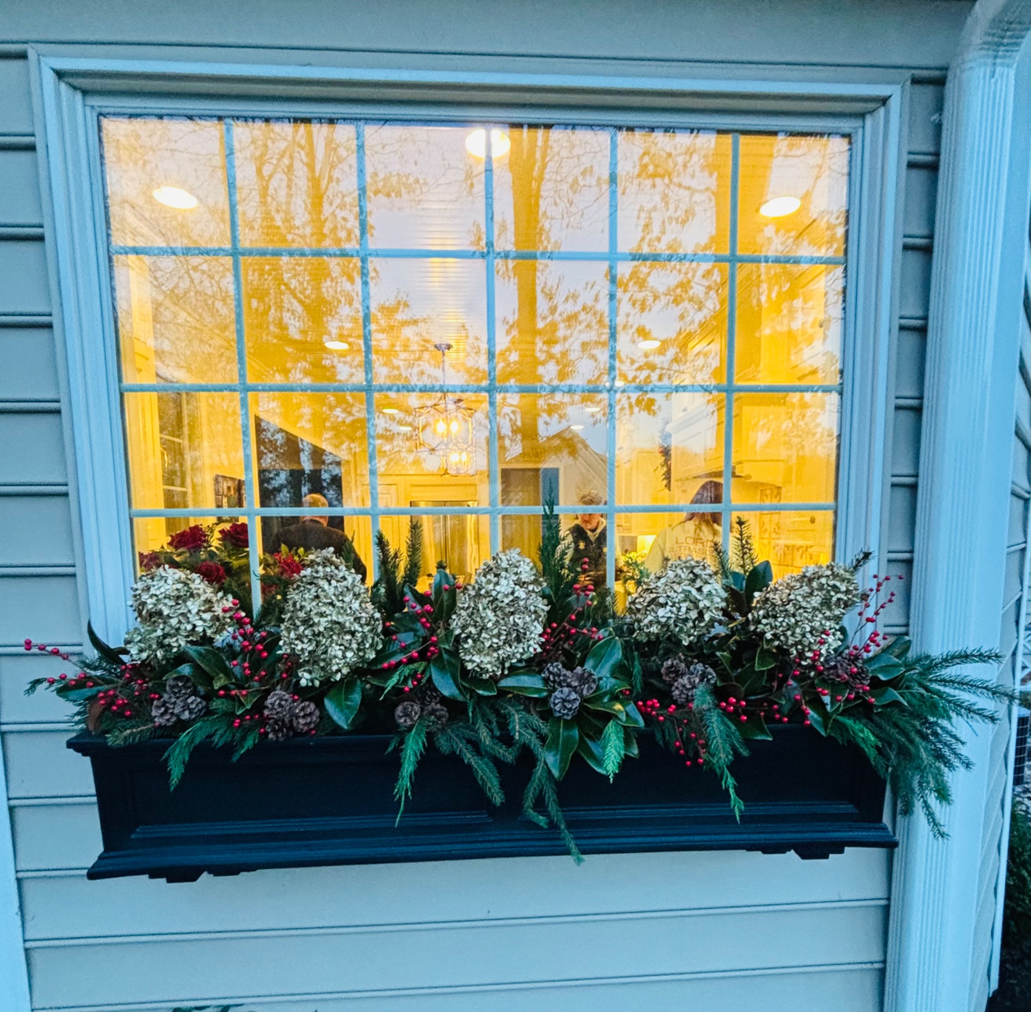Holiday window box with evergreen branches, hydrangeas, pine cones, and red berries beneath a warmly lit window