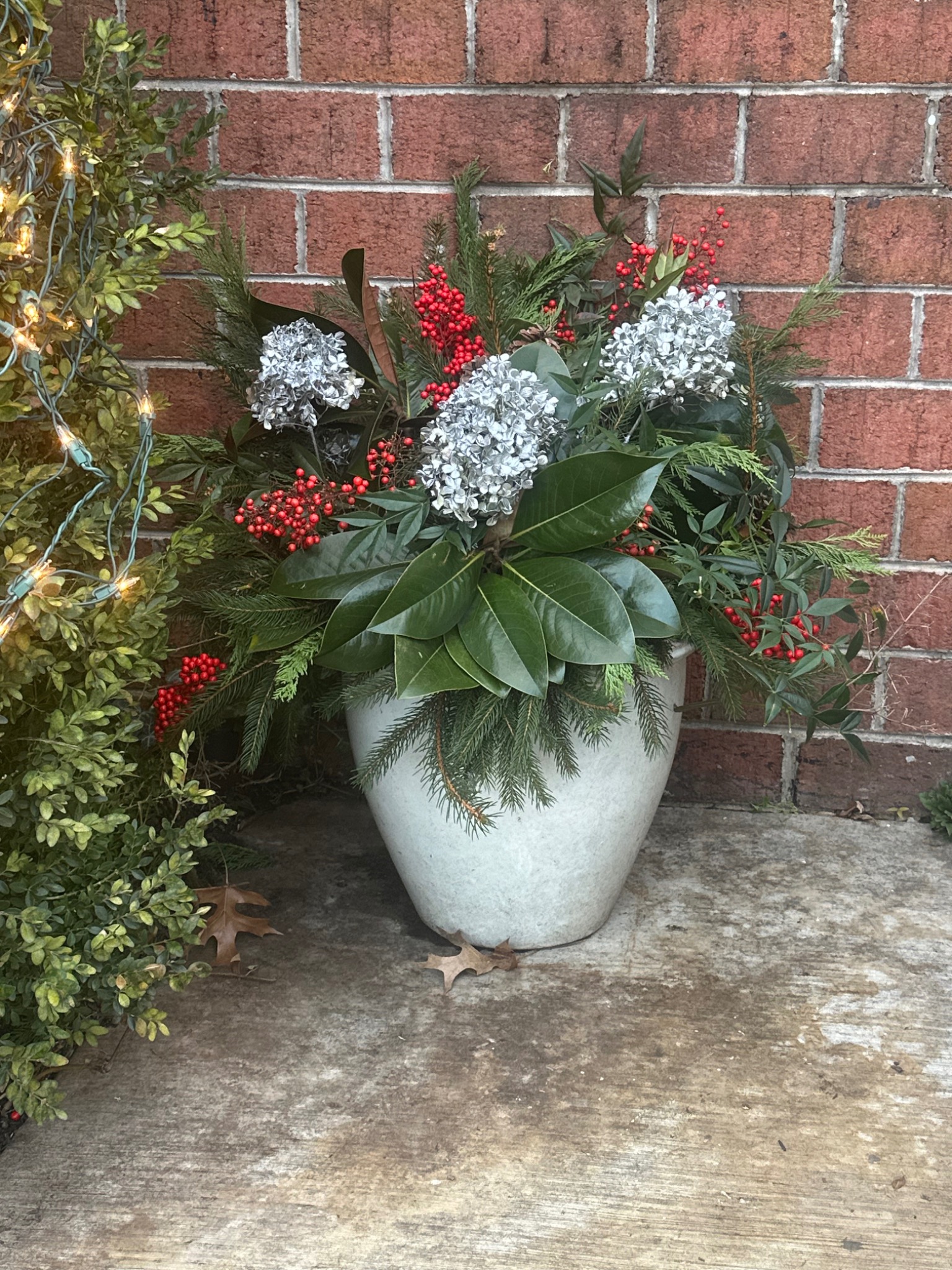 Close view of a white holiday planter with evergreen branches, red berries, and pale hydrangeas beside a brick wall