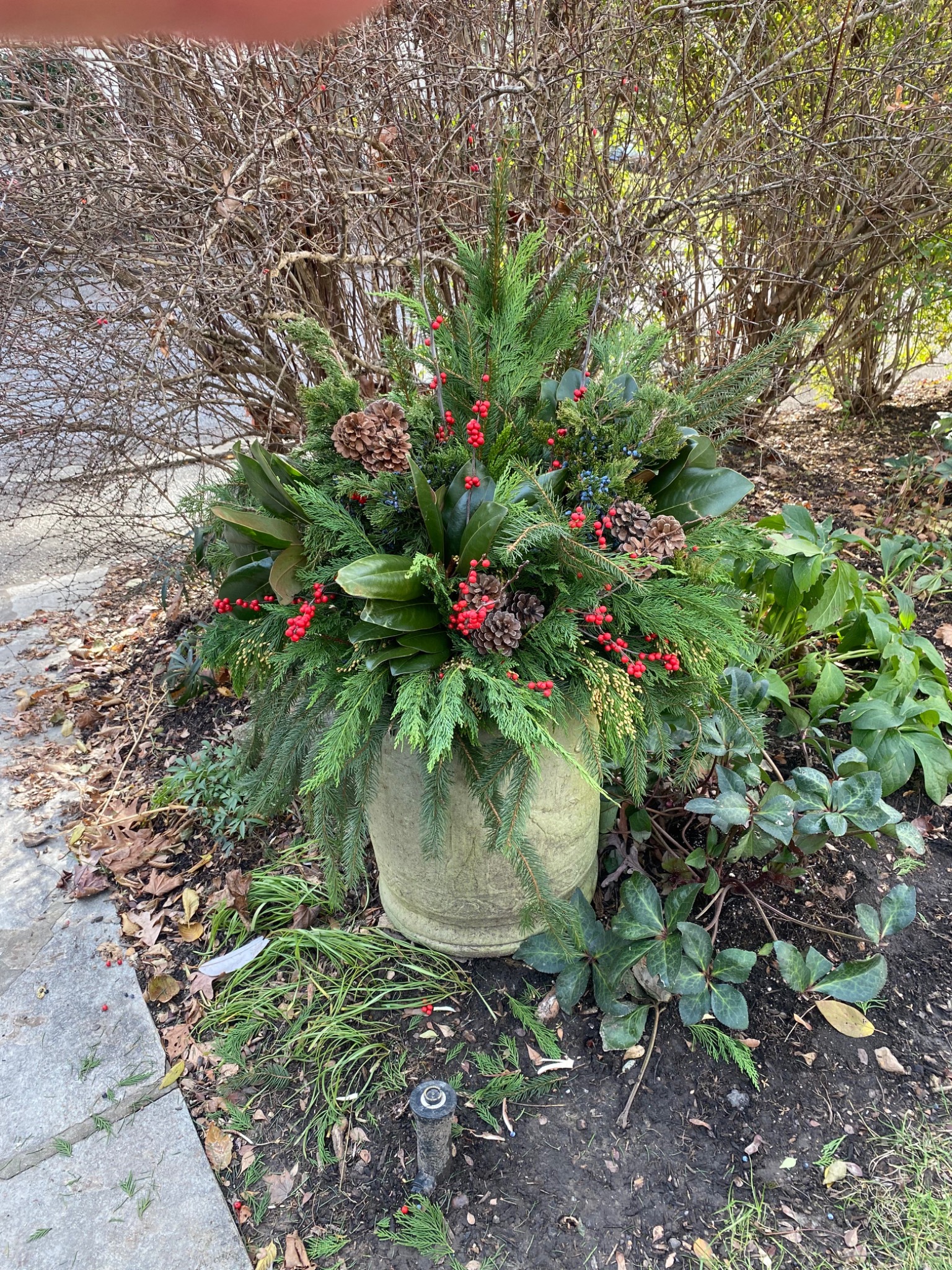 Holiday urn filled with evergreen boughs, red berries, and pinecones along a garden path