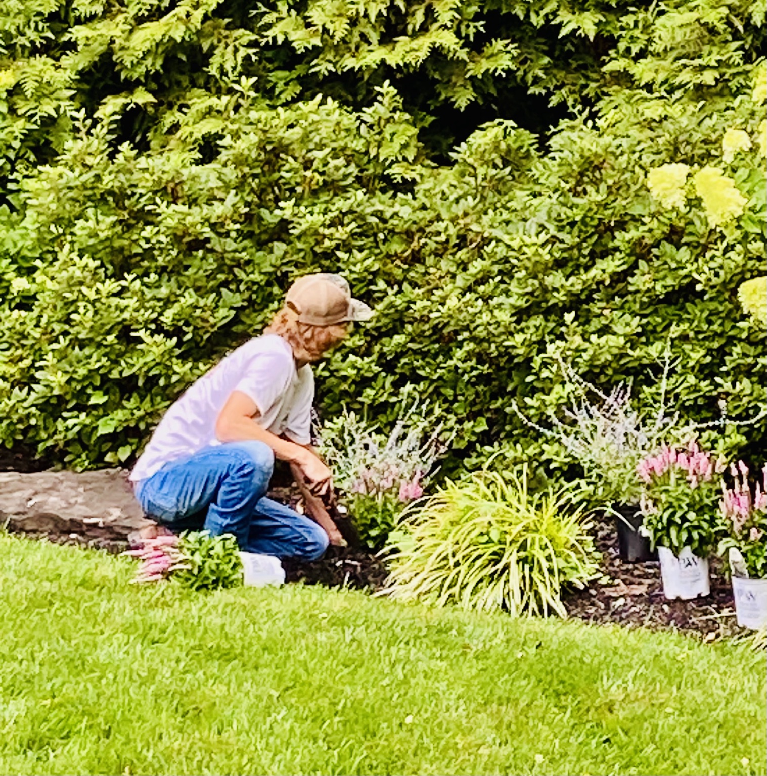 Derek tending a newly planted garden bed