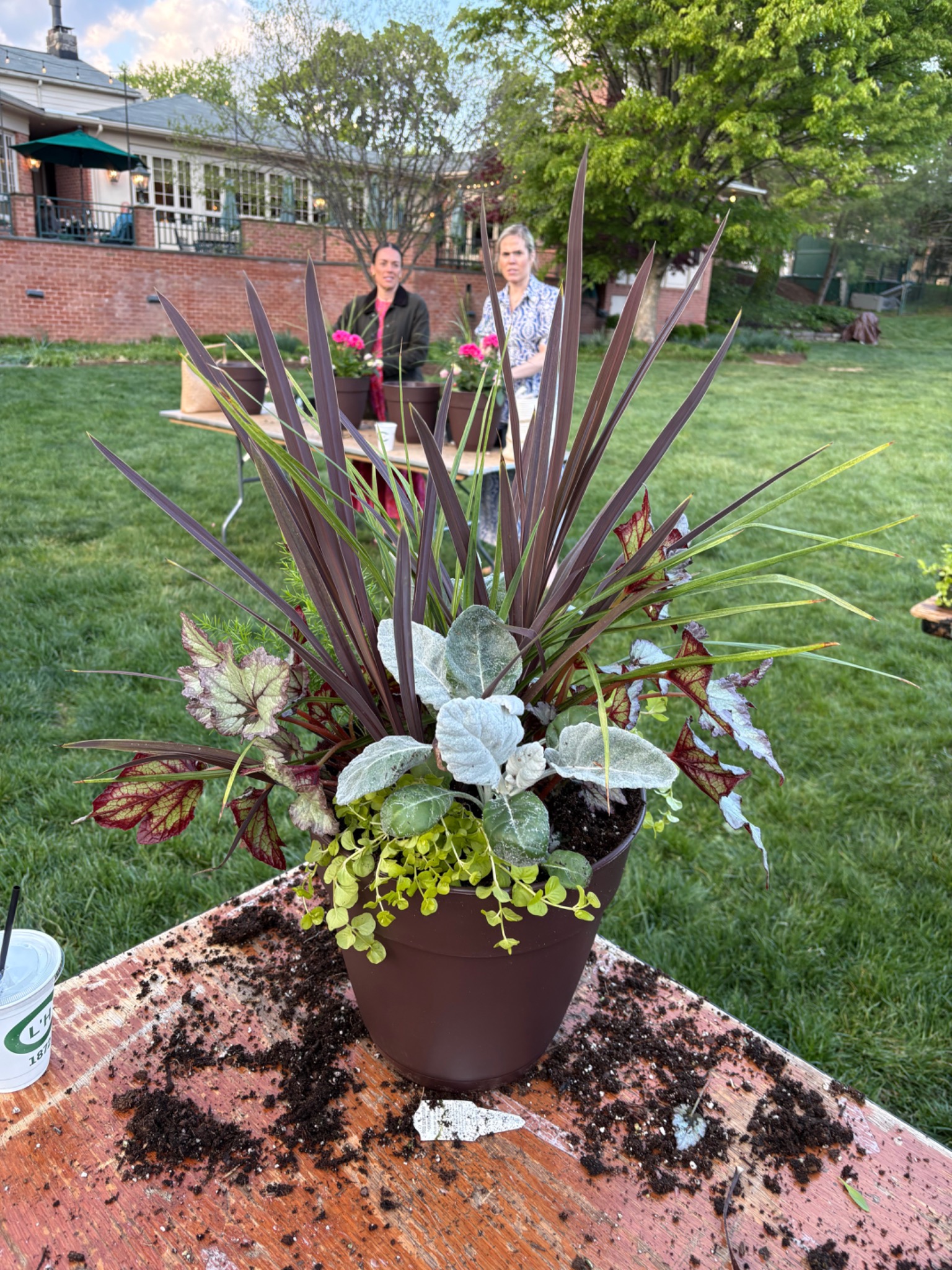 Close-up of a colorful mixed seasonal container arrangement