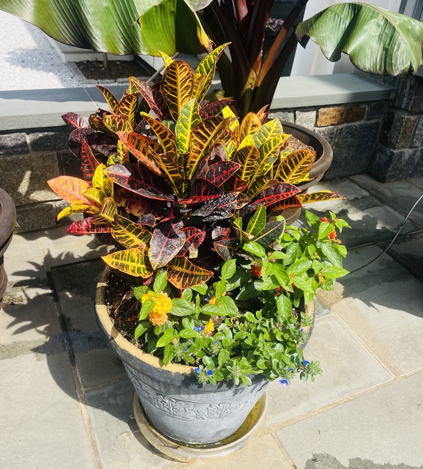 Textured foliage and colorful leaves in a round silver planter