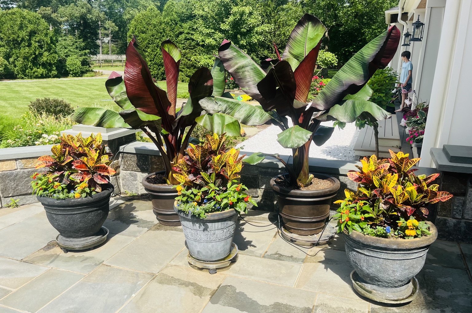 A coordinated group of mixed containers arranged on a sunny stone patio