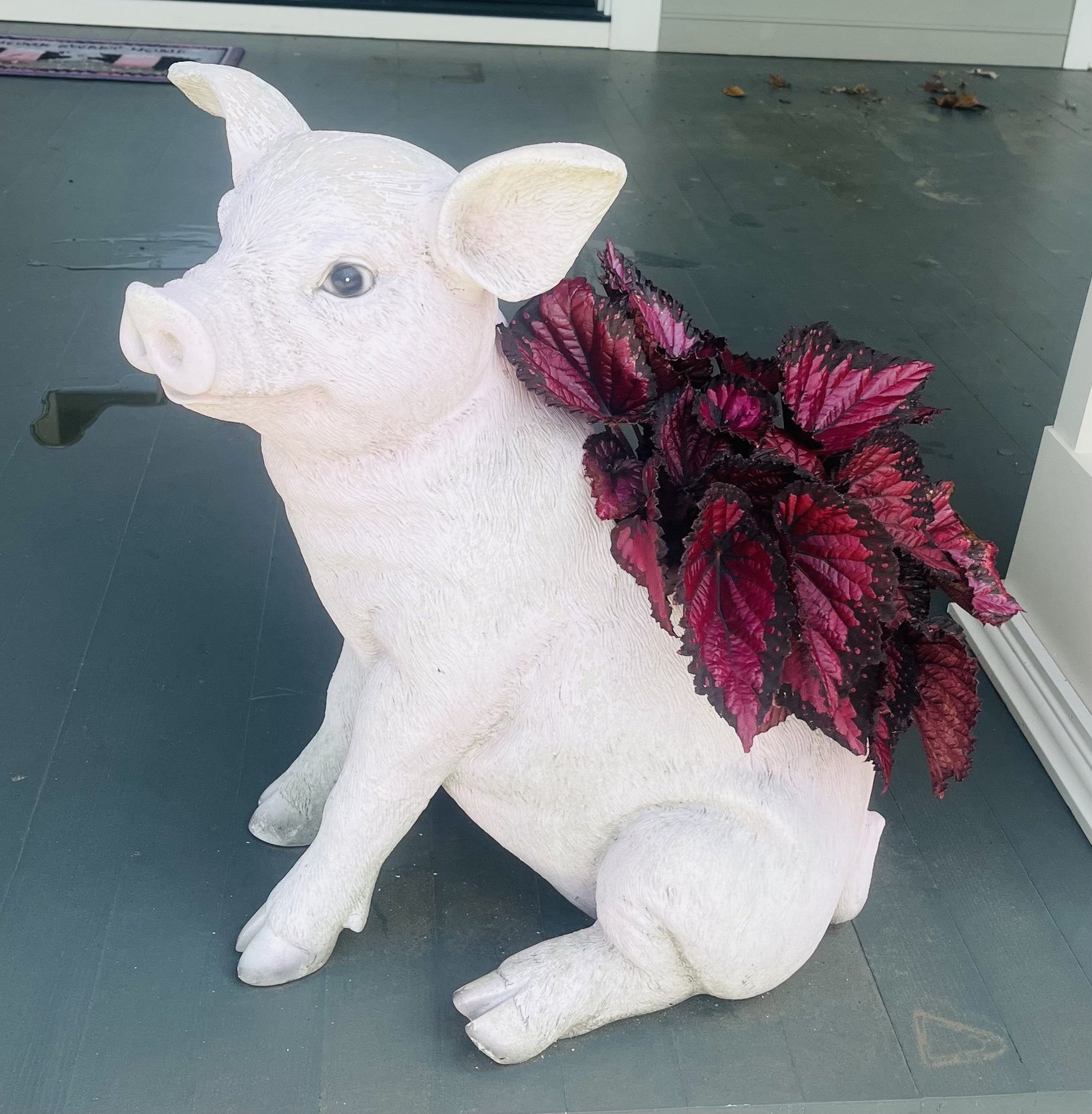 White pig garden statue decorated with colorful coleus foliage