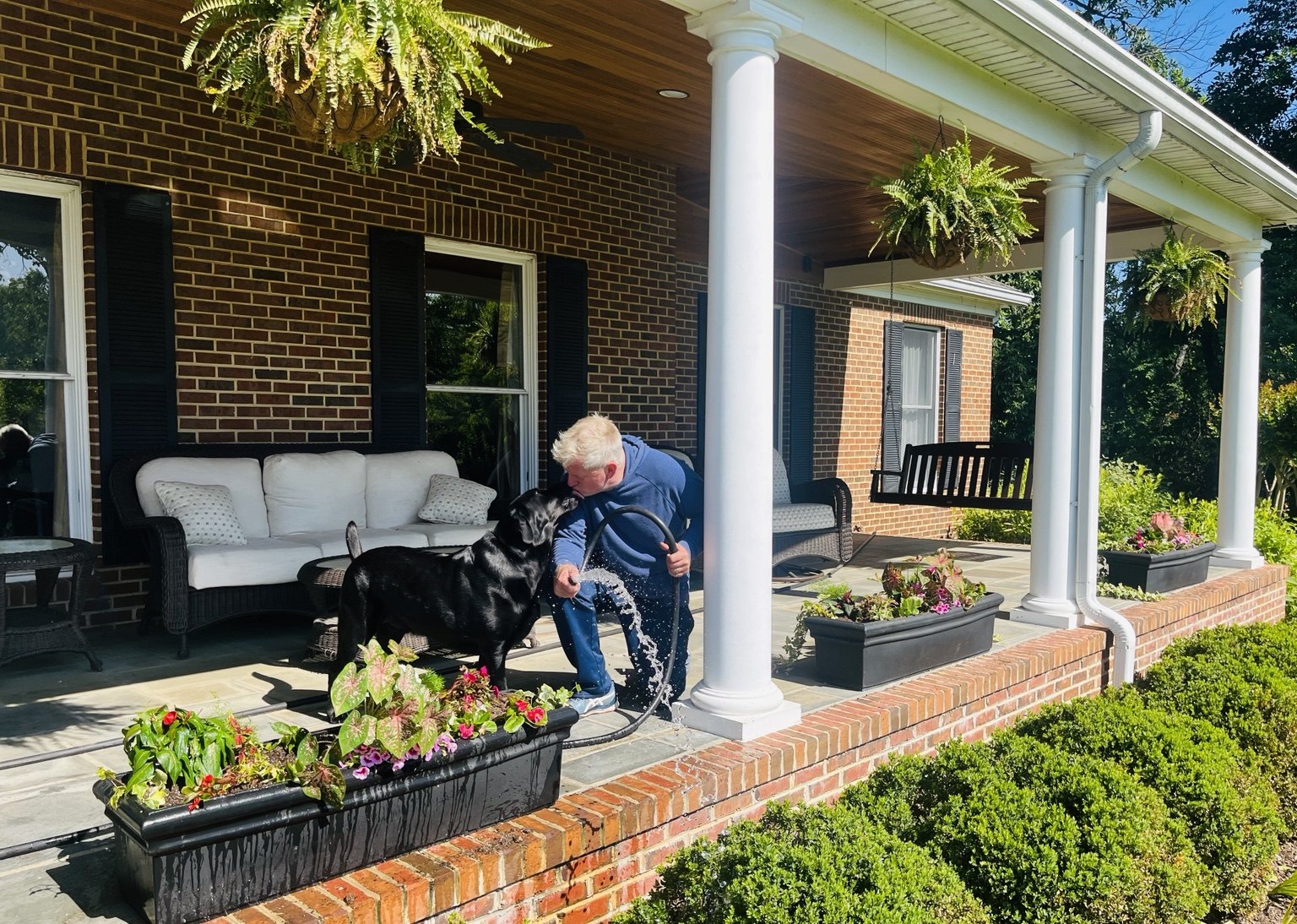 Porch planters being watered beside a black dog