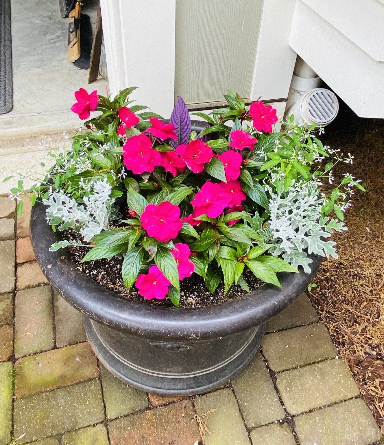 Vivid pink impatiens with silver dusty miller and a purple accent plant in a charcoal planter