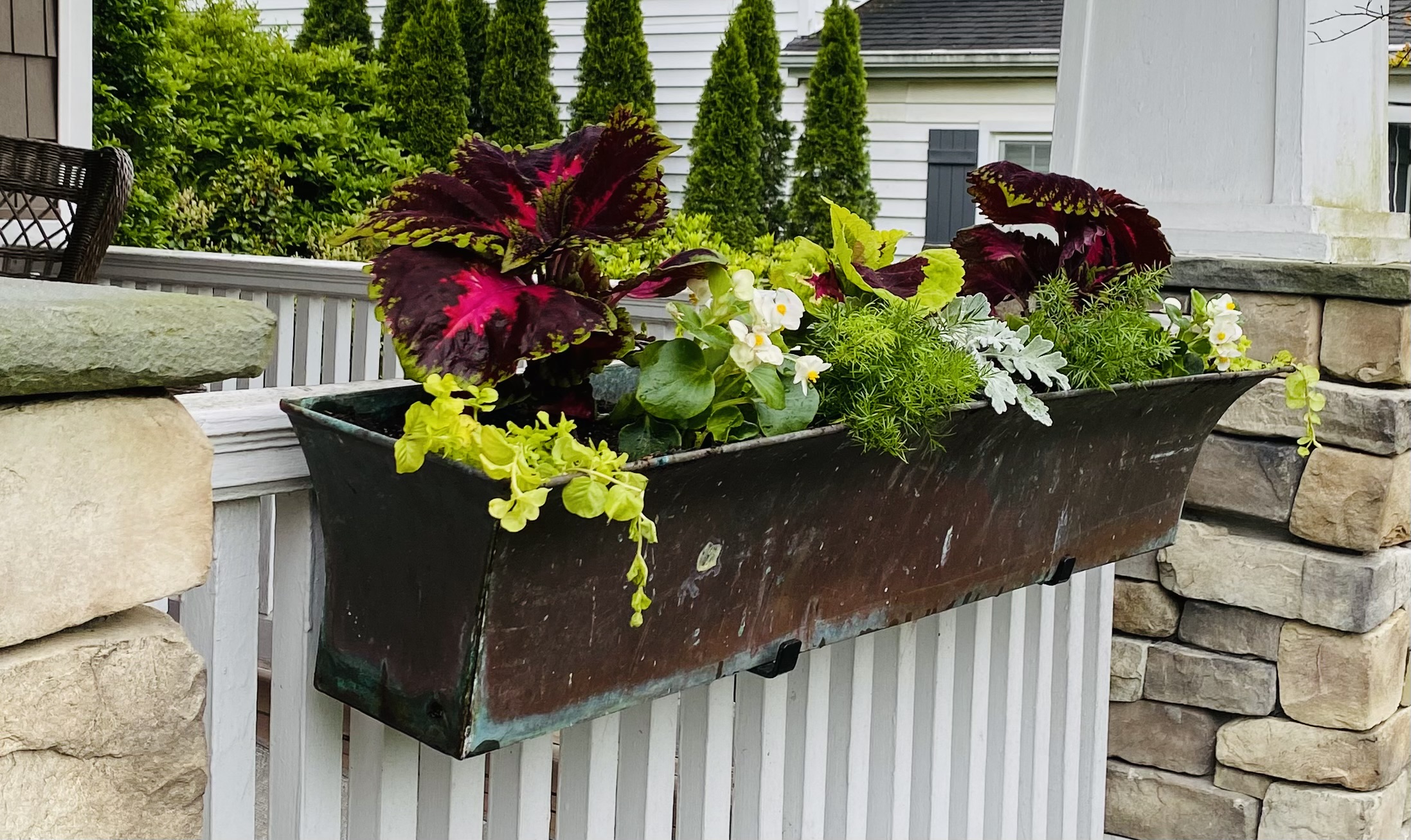 Long weathered metal trough planter with burgundy coleus, chartreuse foliage, white flowers, and silver leaves beside a stone porch