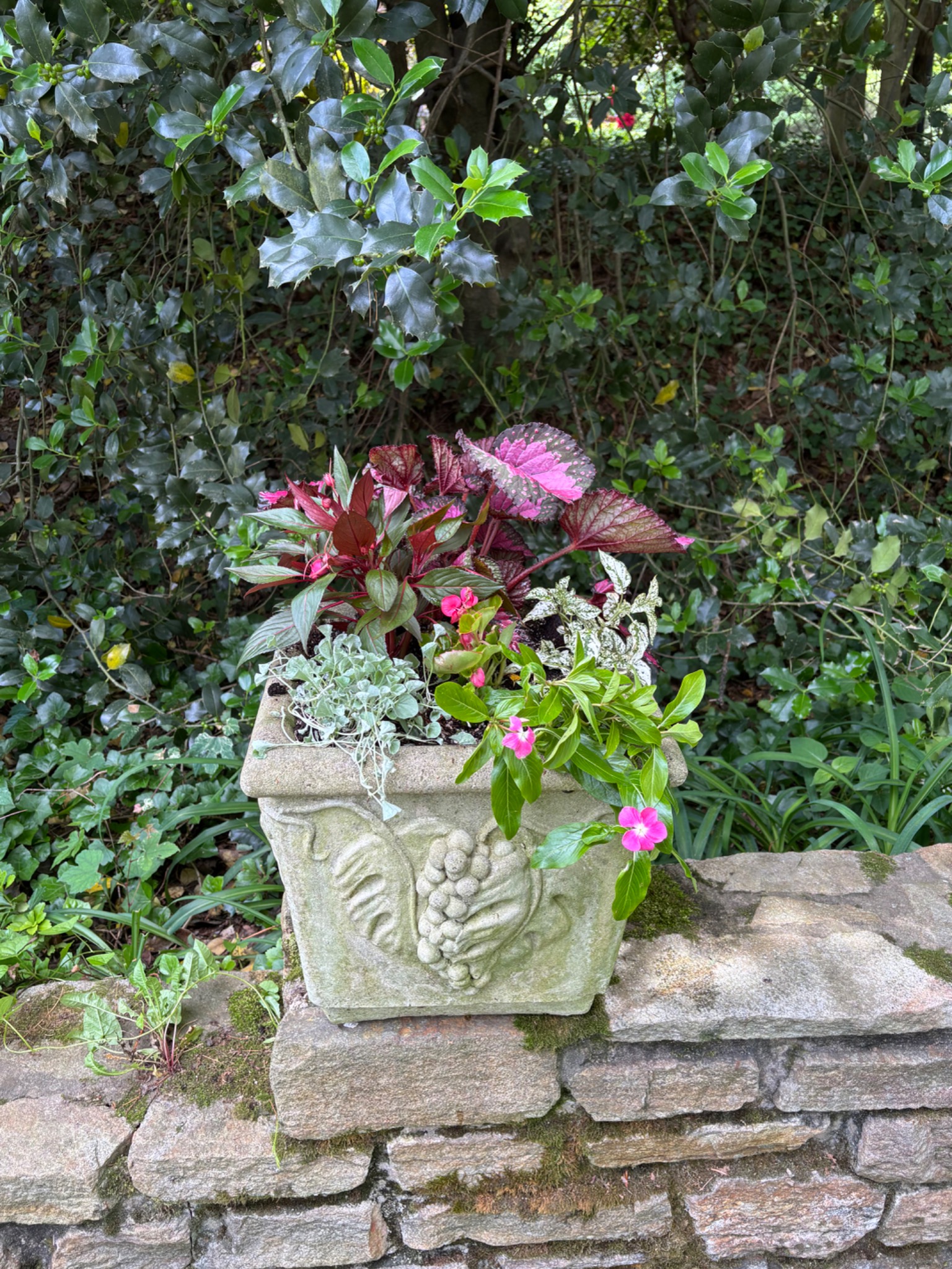 Wider view of the carved stone planter with pink blossoms and colorful foliage among greenery