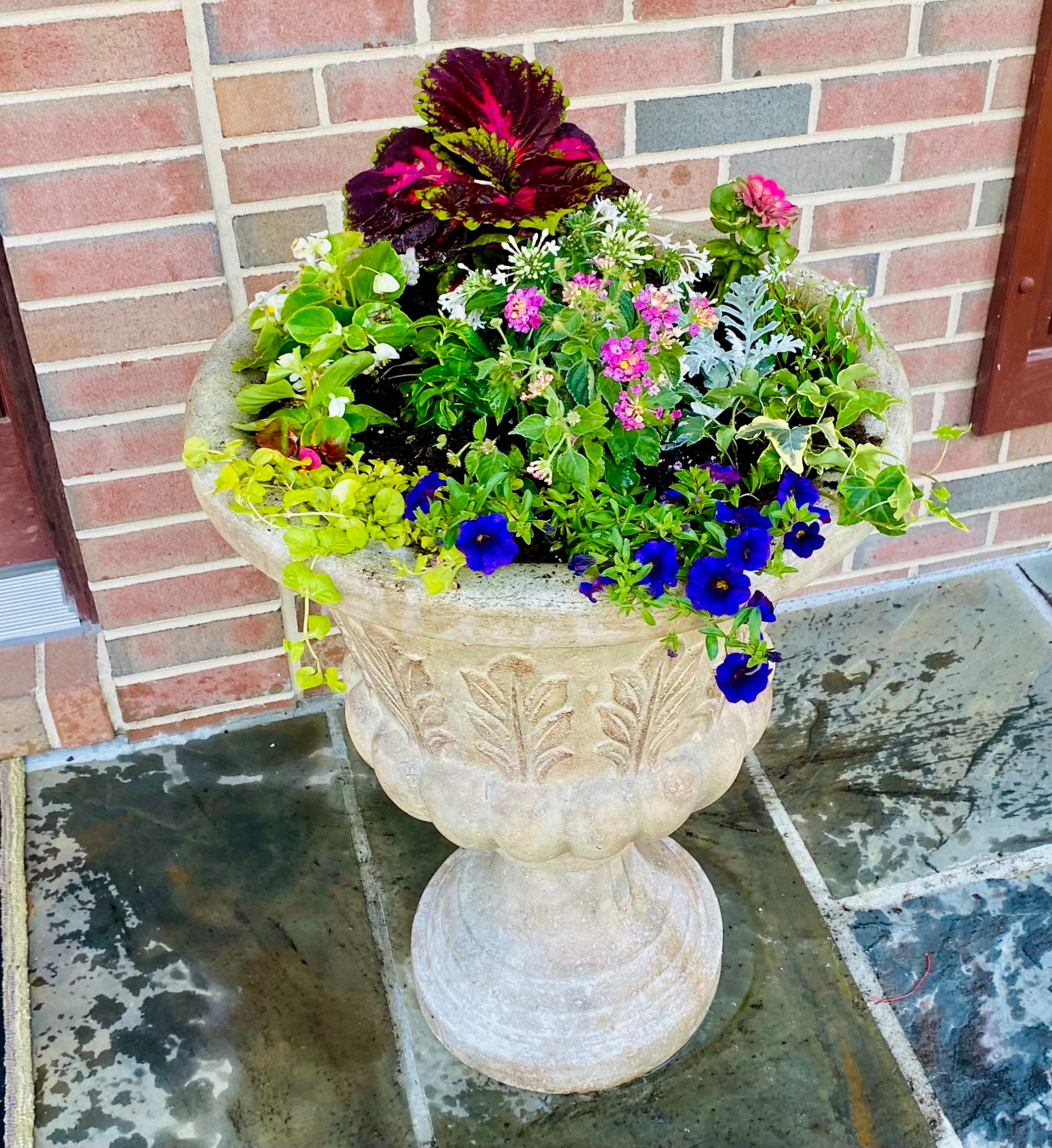 Closer view of colorful flowers in a cream pedestal urn
