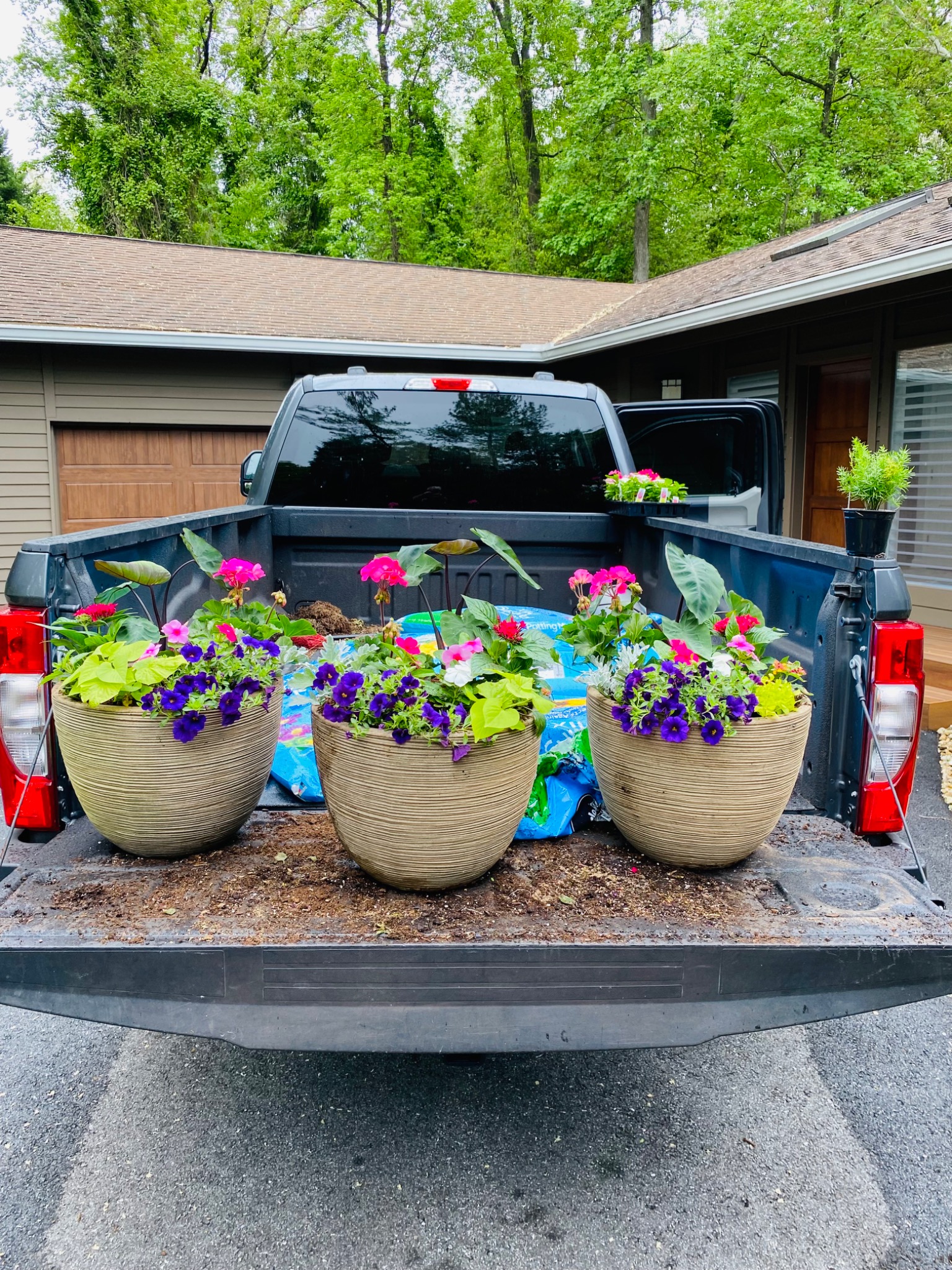 Three coordinated spring planters filled with bright pink, purple, and yellow flowers, ready for delivery