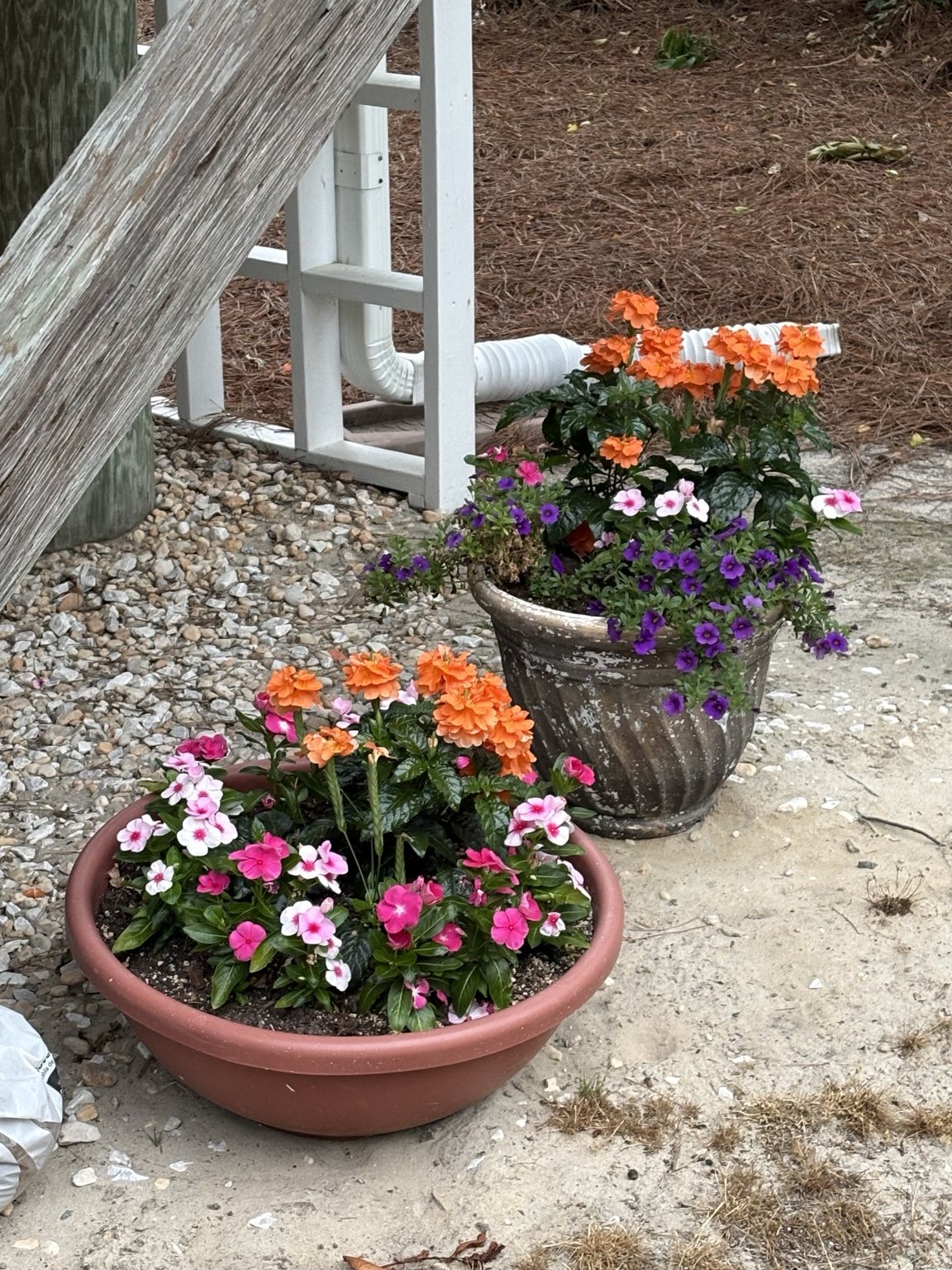 Matching terracotta and stone planters with orange, pink, white, and purple flowers beside the steps