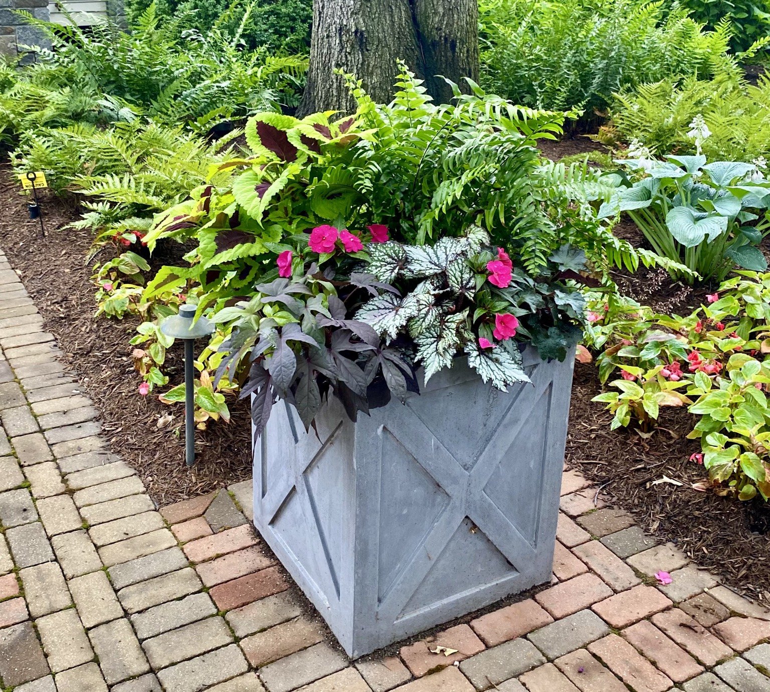 Lush ferns, colorful foliage, and pink blooms in a square gray planter