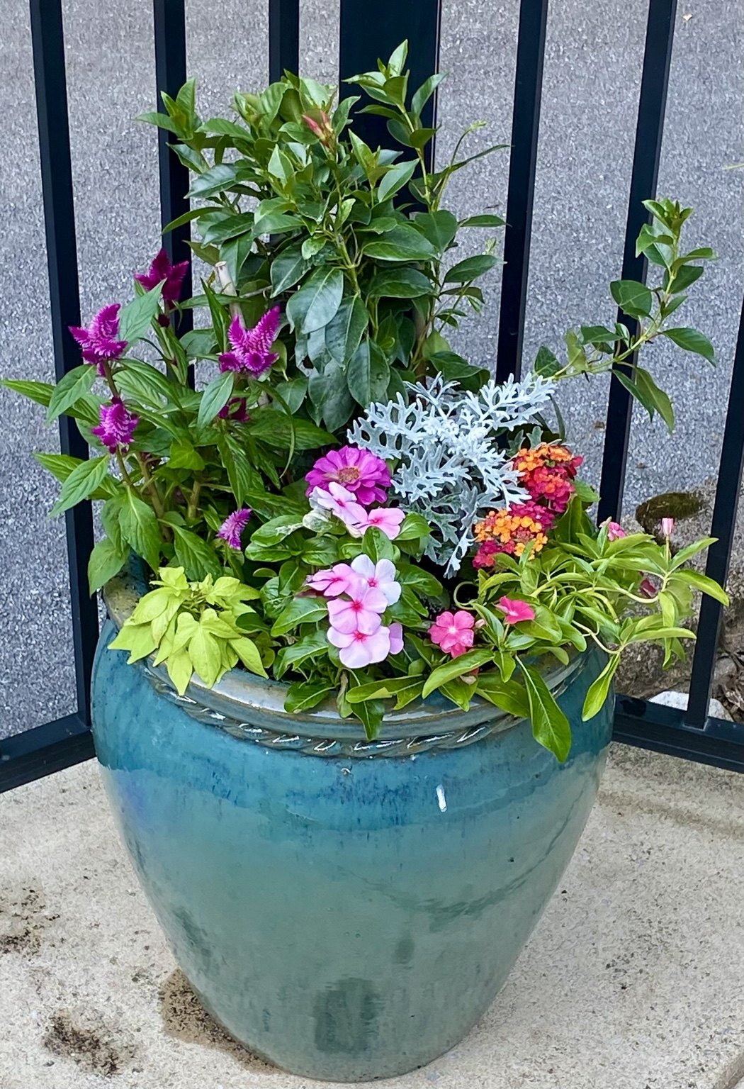 Pink, white, and purple flowers in a blue glazed planter