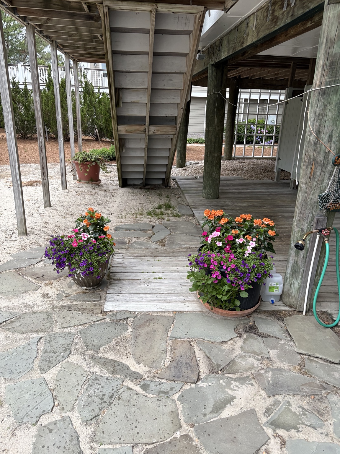Stone steps framed by colorful summer planters