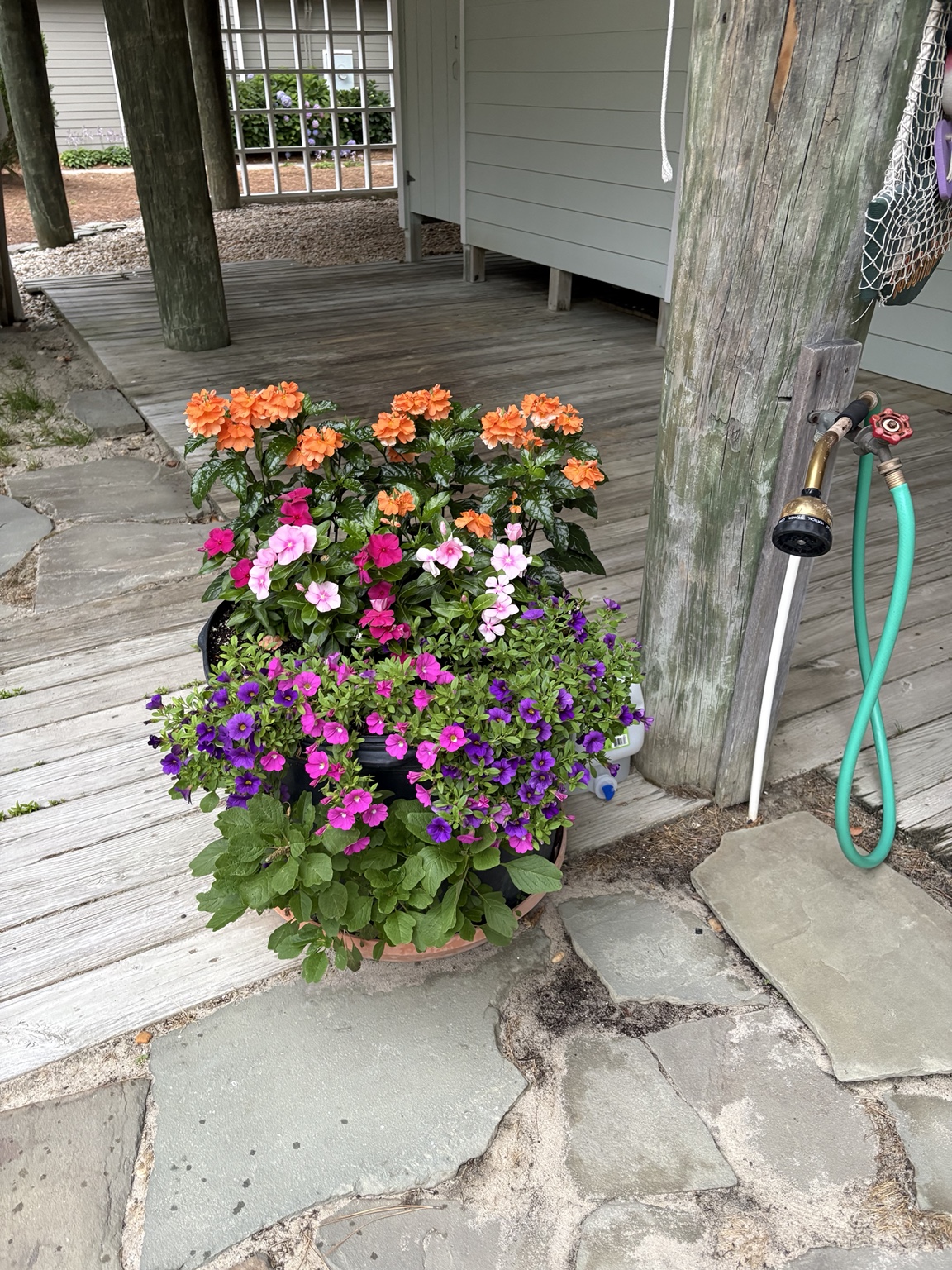 A full summer planter with pink, orange, and purple blooms