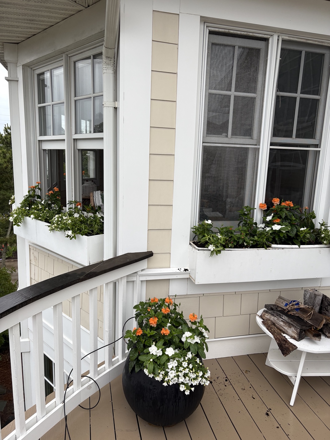 Window boxes and summer flowers beside the patio seating