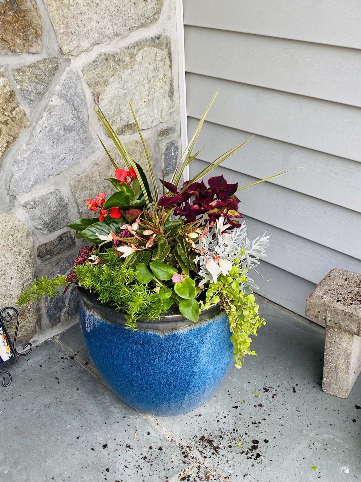 A layered mix of foliage and red flowers in a blue glazed planter by a stone entry