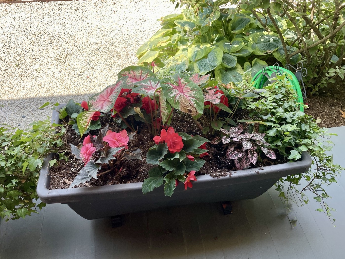 A layered foliage planter by the garden