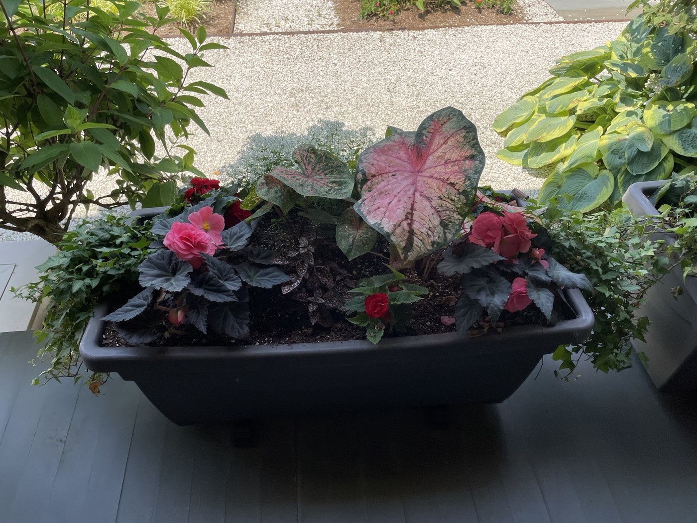 A closer view of the red and pink foliage planter