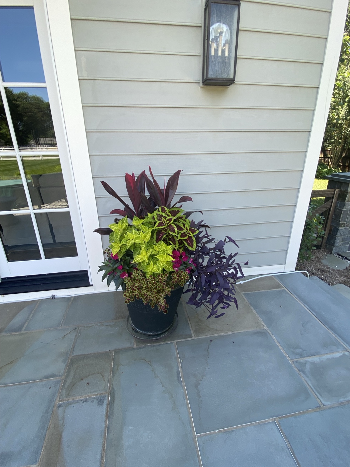 A bold summer container with burgundy foliage, lime green coleus, purple trailing plants, and bright pink blooms beside a light-sided home