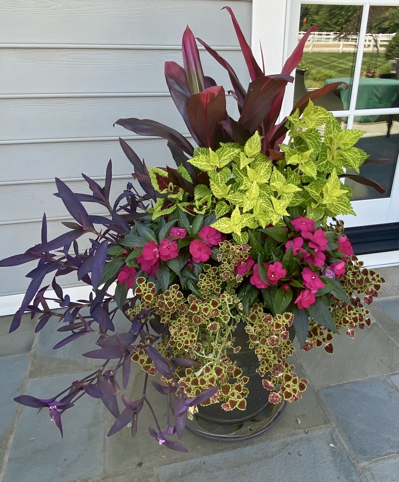 Close view of a summer planter layered with lime green coleus, burgundy leaves, purple trailing foliage, and pink flowers