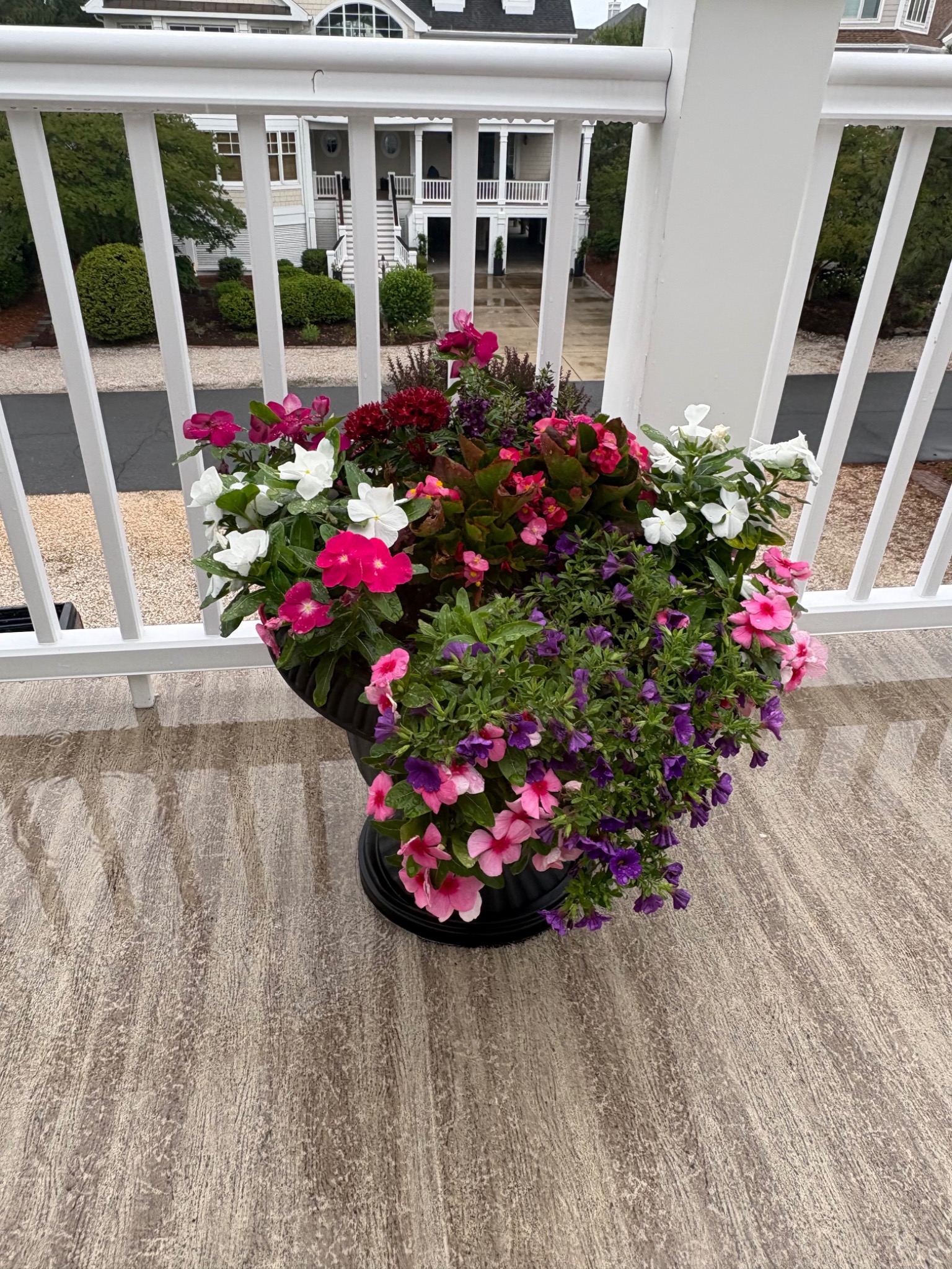 Black urn overflowing with white, pink, and purple summer flowers on a balcony