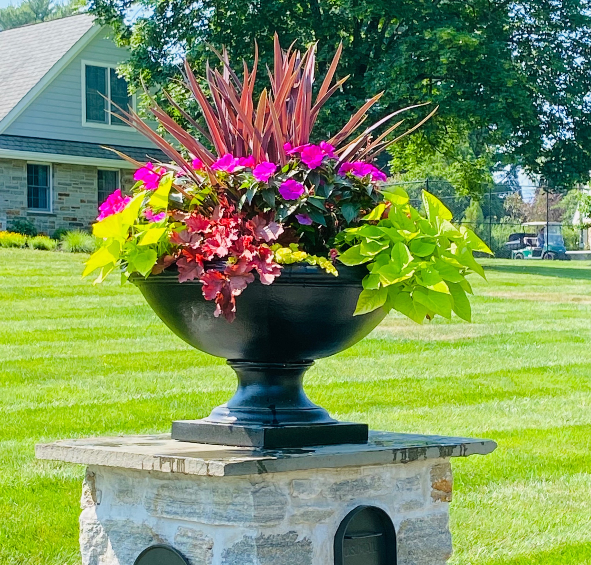 Pink flowers and burgundy foliage in a black urn on a stone pedestal