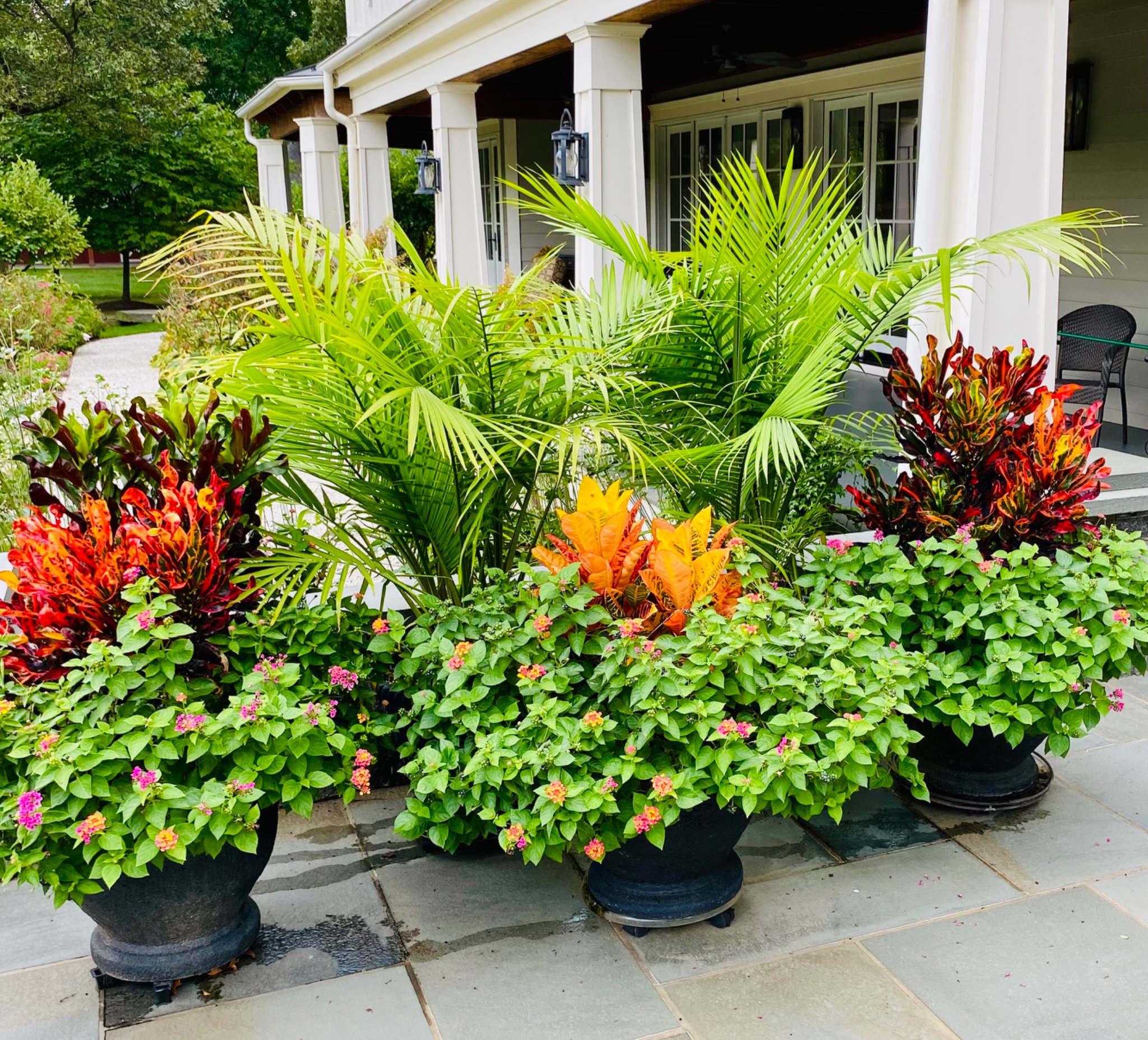 Colorful tropical summer planters with palms, croton foliage, and pink blooms along a covered porch